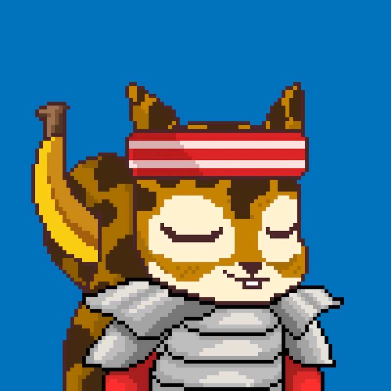 Pixel Squirrels #4837